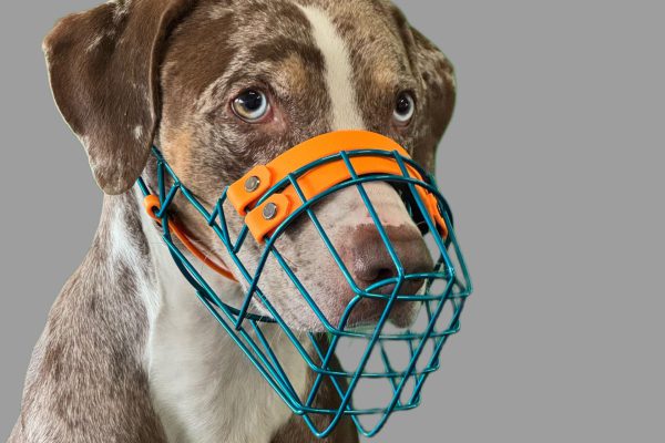 1a92060d-a766-4e6c-bd5d-d5470ec3d004