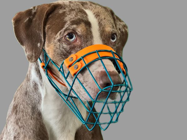 1a92060d-a766-4e6c-bd5d-d5470ec3d004