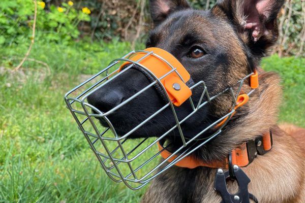 WhatsApp Image 2025-04-24 at 22.12.09 (1)